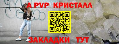 ECSTASY Канаш