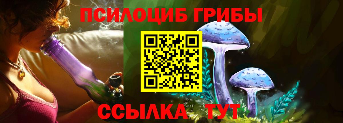 Галлюциногенные грибы Cubensis Красноармейск